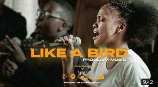 LYRICS for LIKE A BIRD by Proclaim Music
