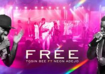 TOSIN BEE – FREE Lyrics x NEON ADEJO